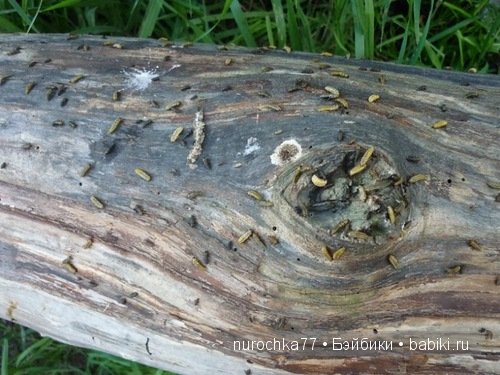 Ягода - малина... в лес меня манила... Одежда для кукол Galoob Baby Face (фото 4)