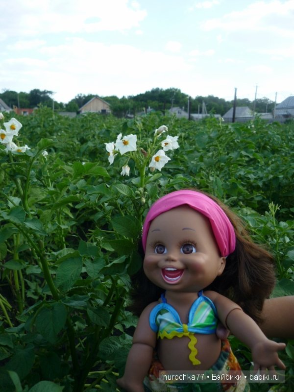 Приключения коротышек в деревне.Galoob Baby Face