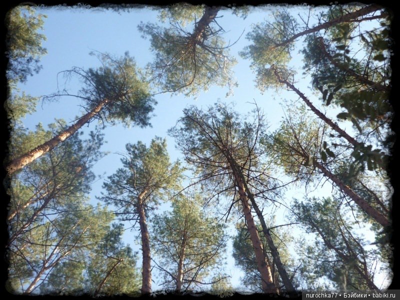 Возвращение Чёрной Розы. Куклы Gotz. ООАК (фото 2)