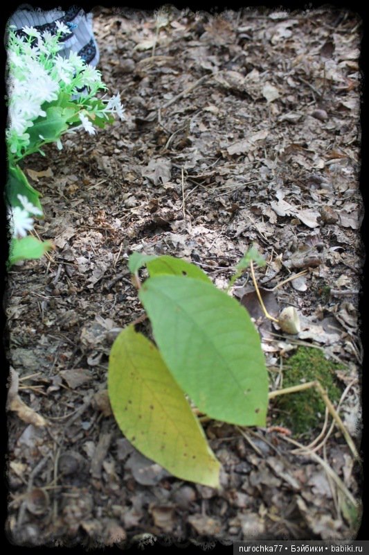 Чёрная Роза. Кукла Gotz Рок Звезда 2011 год. ( ООАК)