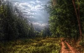 Чёрная Роза. Кукла Gotz Рок Звезда 2011 год. ( ООАК)