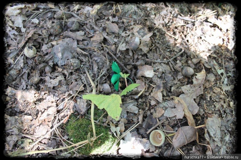 Чёрная Роза. Кукла Gotz Рок Звезда 2011 год. ( ООАК)