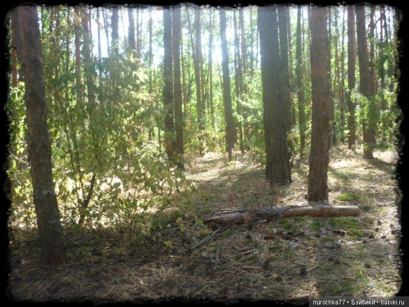 Возвращение Чёрной Розы. Куклы Gotz. ООАК (фото 4)