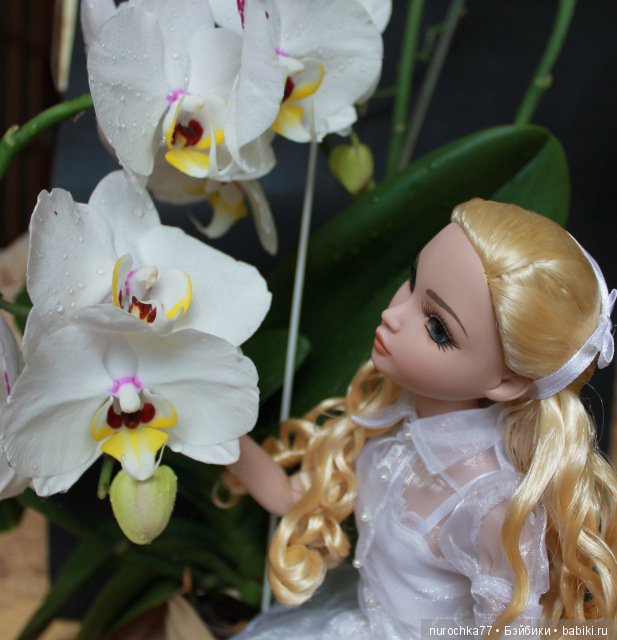 Мисс Бэйбики 2018. Кастинг. Часть 2