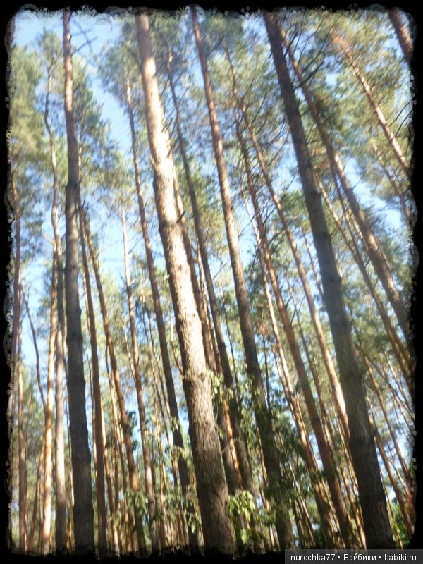 Возвращение Чёрной Розы. Куклы Gotz. ООАК