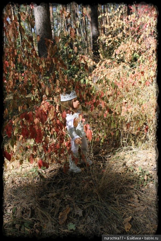 Возвращение Чёрной Розы. Куклы Gotz. ООАК (фото 6)