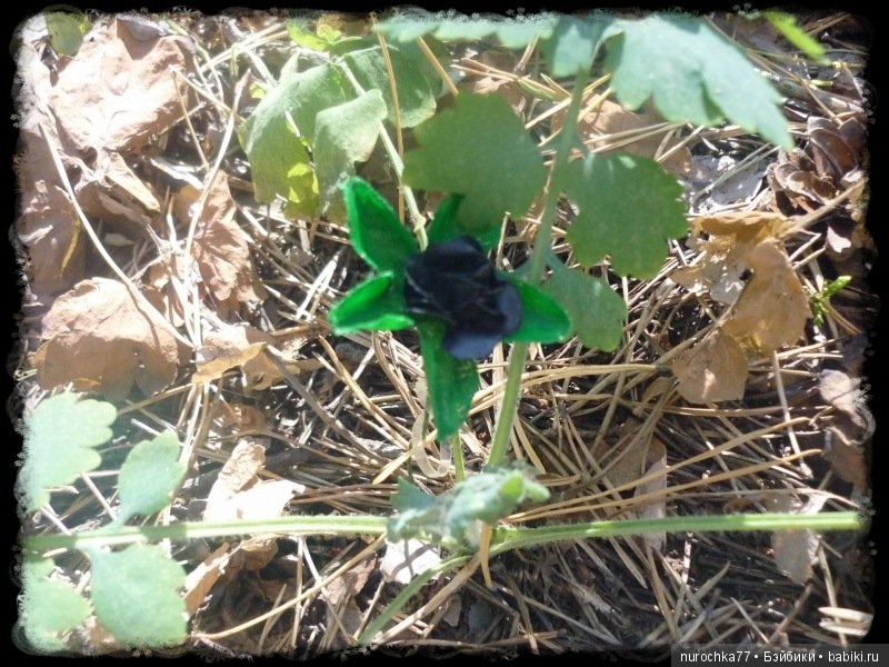 Возвращение Чёрной Розы. Куклы Gotz. ООАК