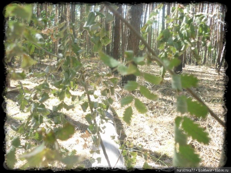 Возвращение Чёрной Розы. Куклы Gotz. ООАК (фото 3)