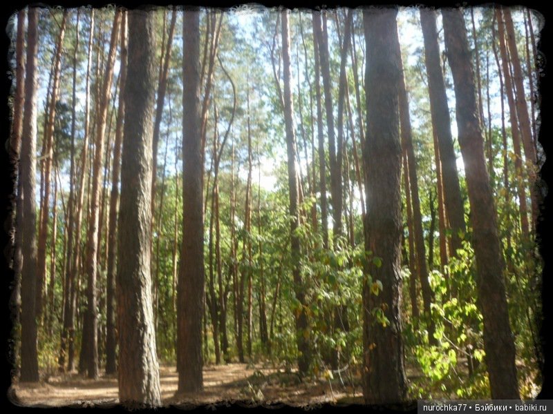 Возвращение Чёрной Розы. Куклы Gotz. ООАК (фото 5)