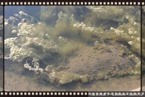 Нина Gotz. Шоколад — Куклы Gotz (Готц): Ханна