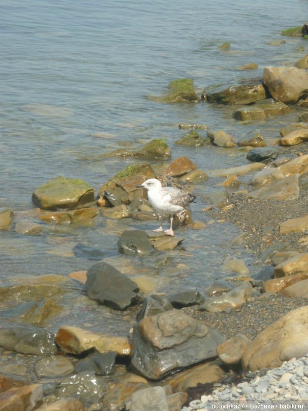 Ханночка Gotz (ООАК) на море