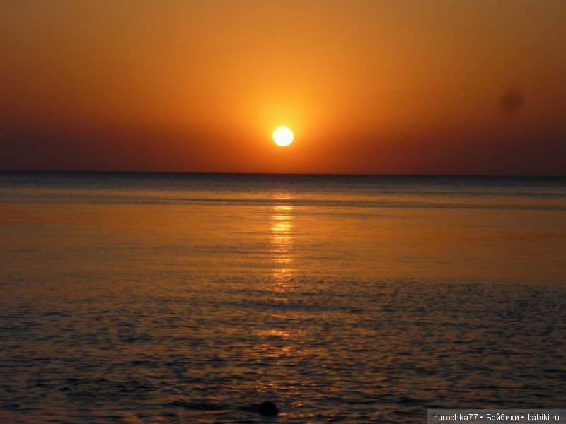 Морские камешки. Встреча кукол Готц