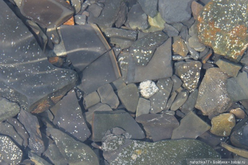 Фотоальбом. Жизель Готц (ООАК) и море