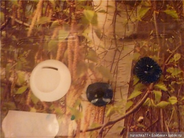 Как я из Ульянки сделала синеглазку (фото 3)