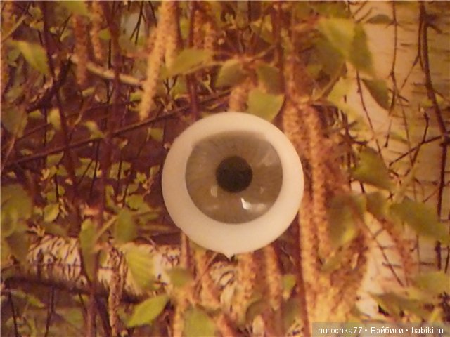 Как я из Ульянки сделала синеглазку