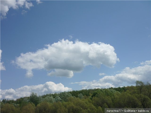 Сердце Соловьиного края — Туризм и путешествия: фотоотчеты из поездок