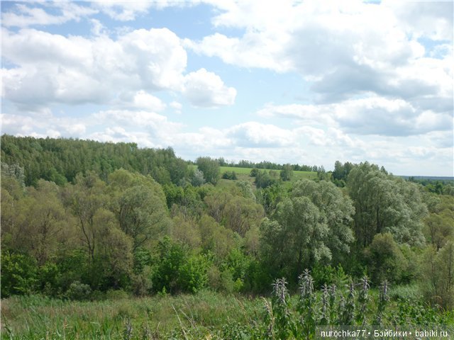 Сердце Соловьиного края — Туризм и путешествия: фотоотчеты из поездок