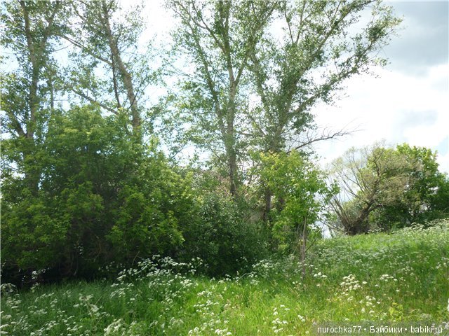 Сердце Соловьиного края — Туризм и путешествия: фотоотчеты из поездок