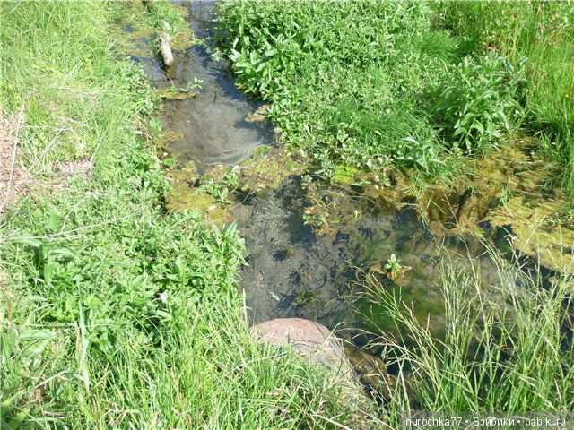 Сердце Соловьиного края — Туризм и путешествия: фотоотчеты из поездок