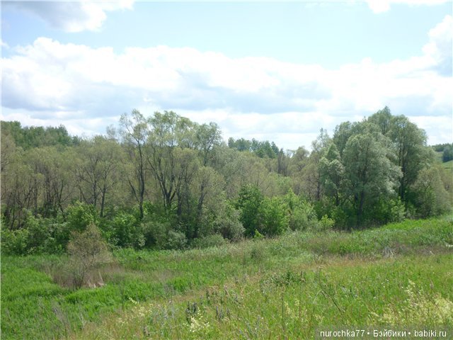 Сердце Соловьиного края — Туризм и путешествия: фотоотчеты из поездок (фото 3)