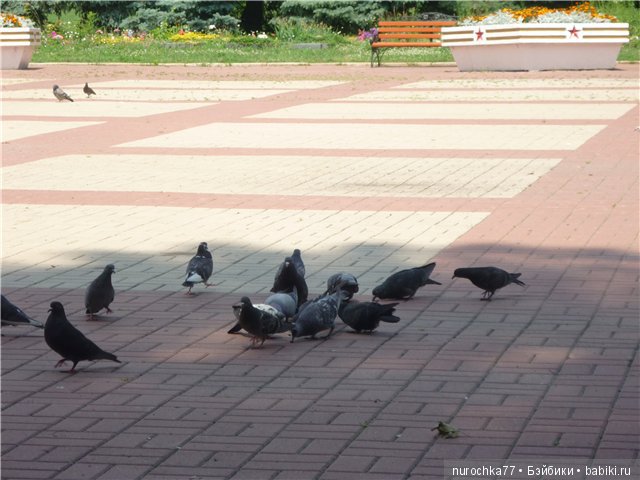 Весёлая прогулка. Galoob Baby Face