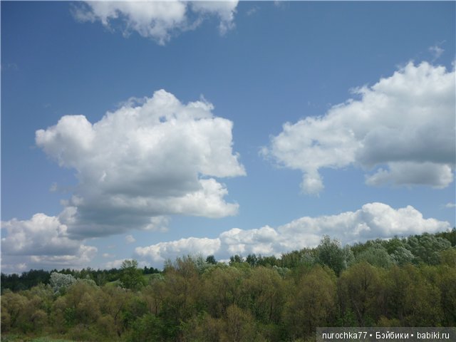 Сердце Соловьиного края — Туризм и путешествия: фотоотчеты из поездок