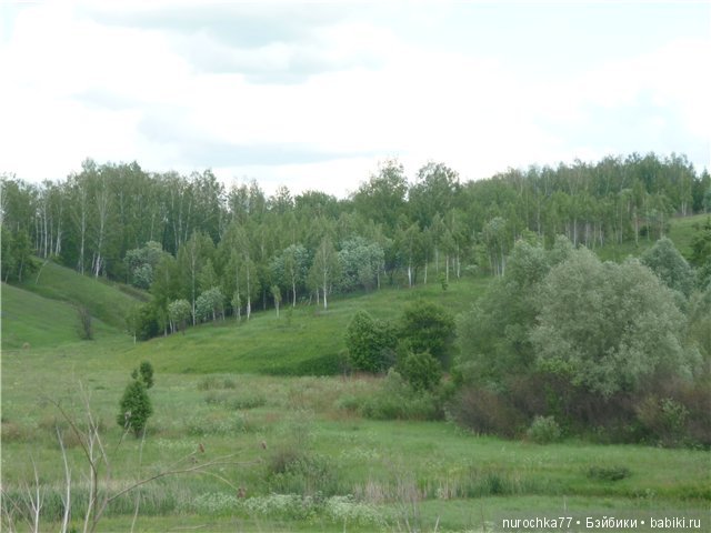 Сердце Соловьиного края — Туризм и путешествия: фотоотчеты из поездок