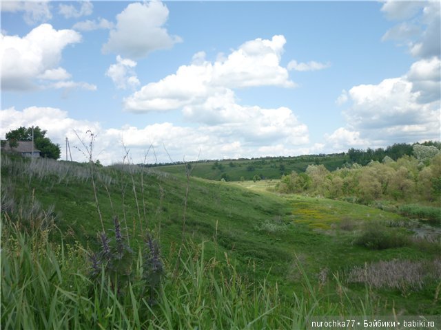 Сердце Соловьиного края — Туризм и путешествия: фотоотчеты из поездок (фото 5)
