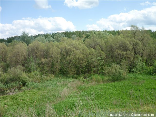 Сердце Соловьиного края — Туризм и путешествия: фотоотчеты из поездок