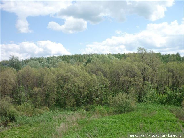 Сердце Соловьиного края — Туризм и путешествия: фотоотчеты из поездок (фото 7)