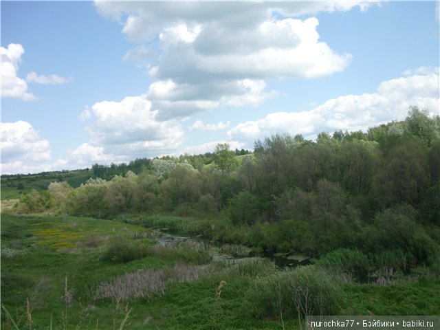 Сердце Соловьиного края — Туризм и путешествия: фотоотчеты из поездок (фото 6)