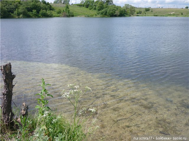 Сердце Соловьиного края — Туризм и путешествия: фотоотчеты из поездок