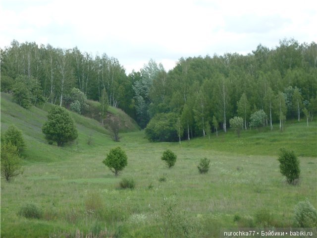 Сердце Соловьиного края — Туризм и путешествия: фотоотчеты из поездок