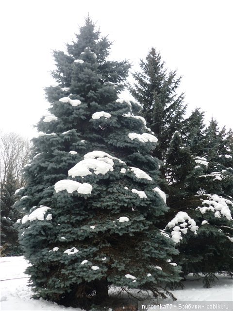 К Вам маленький мужчина на День Святого Валентина