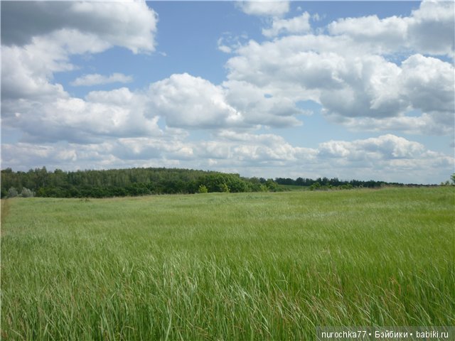 Сердце Соловьиного края — Туризм и путешествия: фотоотчеты из поездок