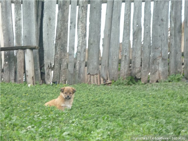 Сердце Соловьиного края — Туризм и путешествия: фотоотчеты из поездок