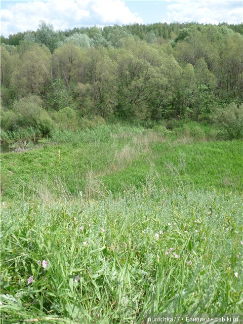 Сердце Соловьиного края — Туризм и путешествия: фотоотчеты из поездок (фото 9)