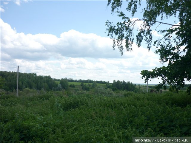 Сердце Соловьиного края — Туризм и путешествия: фотоотчеты из поездок