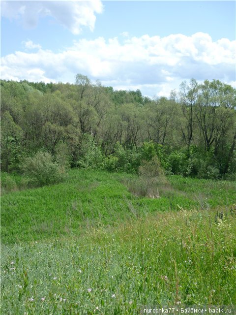 Сердце Соловьиного края — Туризм и путешествия: фотоотчеты из поездок (фото 10)