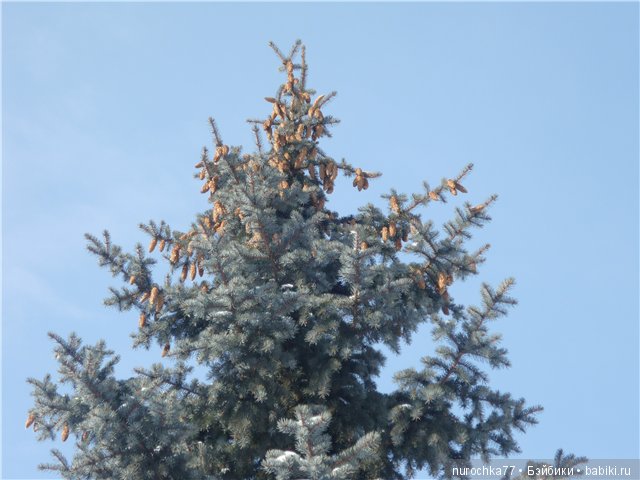Зайку бросила хозяйка. Под дождём остался зайка (фото 9)