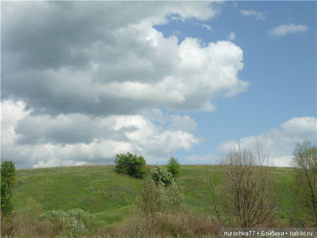 Сердце Соловьиного края — Туризм и путешествия: фотоотчеты из поездок
