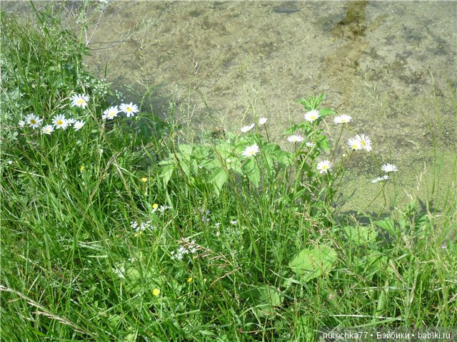 Сердце Соловьиного края — Туризм и путешествия: фотоотчеты из поездок