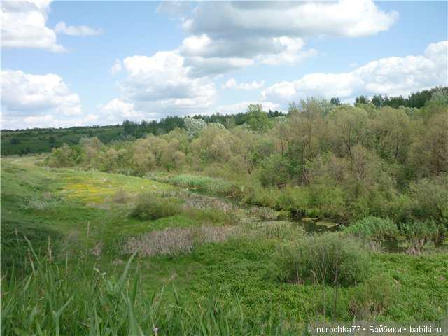 Сердце Соловьиного края — Туризм и путешествия: фотоотчеты из поездок (фото 4)