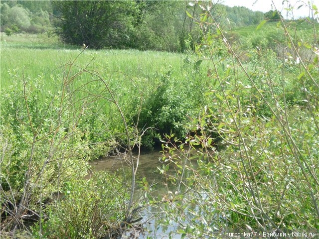 Сердце Соловьиного края — Туризм и путешествия: фотоотчеты из поездок