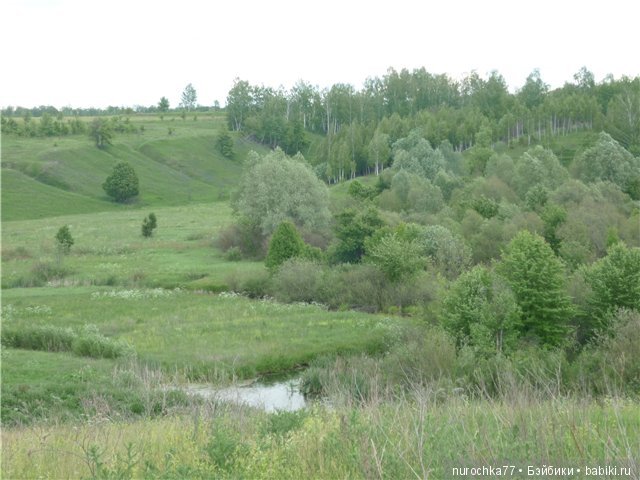 Сердце Соловьиного края — Туризм и путешествия: фотоотчеты из поездок