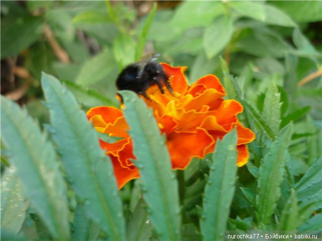 А у нас новое платье — Одежда и обувь для кукол своими руками: фото