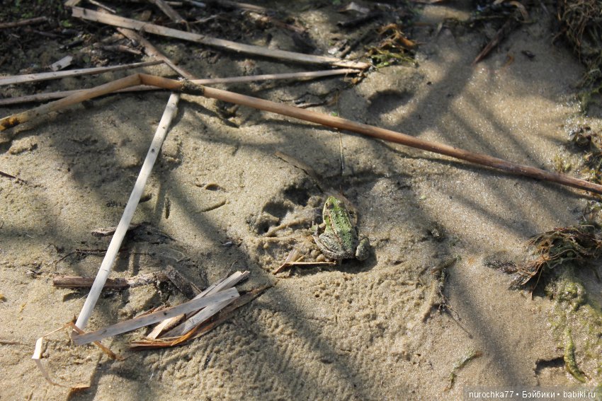 Крузелингомания. Начало — Куклы Kathe Kruse (Кате/Кэте Крузе): фото (фото 3)