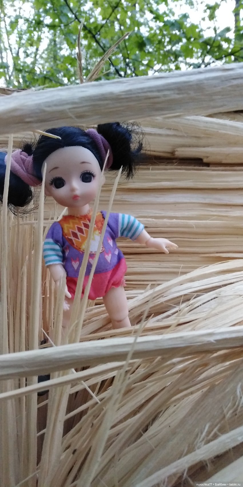 Первая прогулка Баболинки (фото 6)