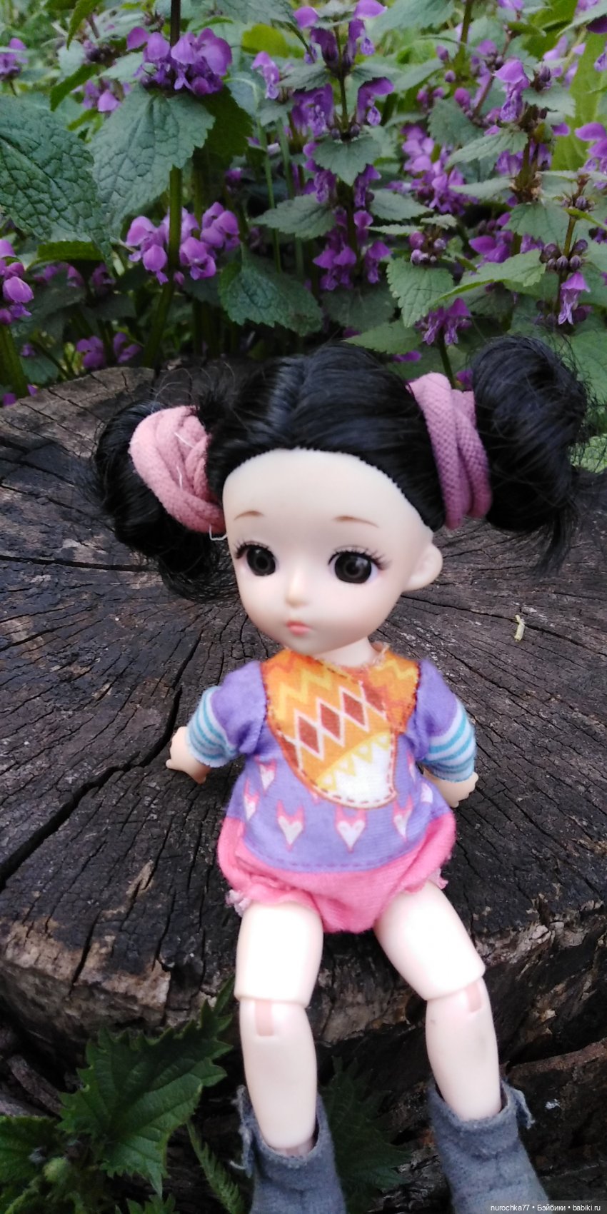 Первая прогулка Баболинки