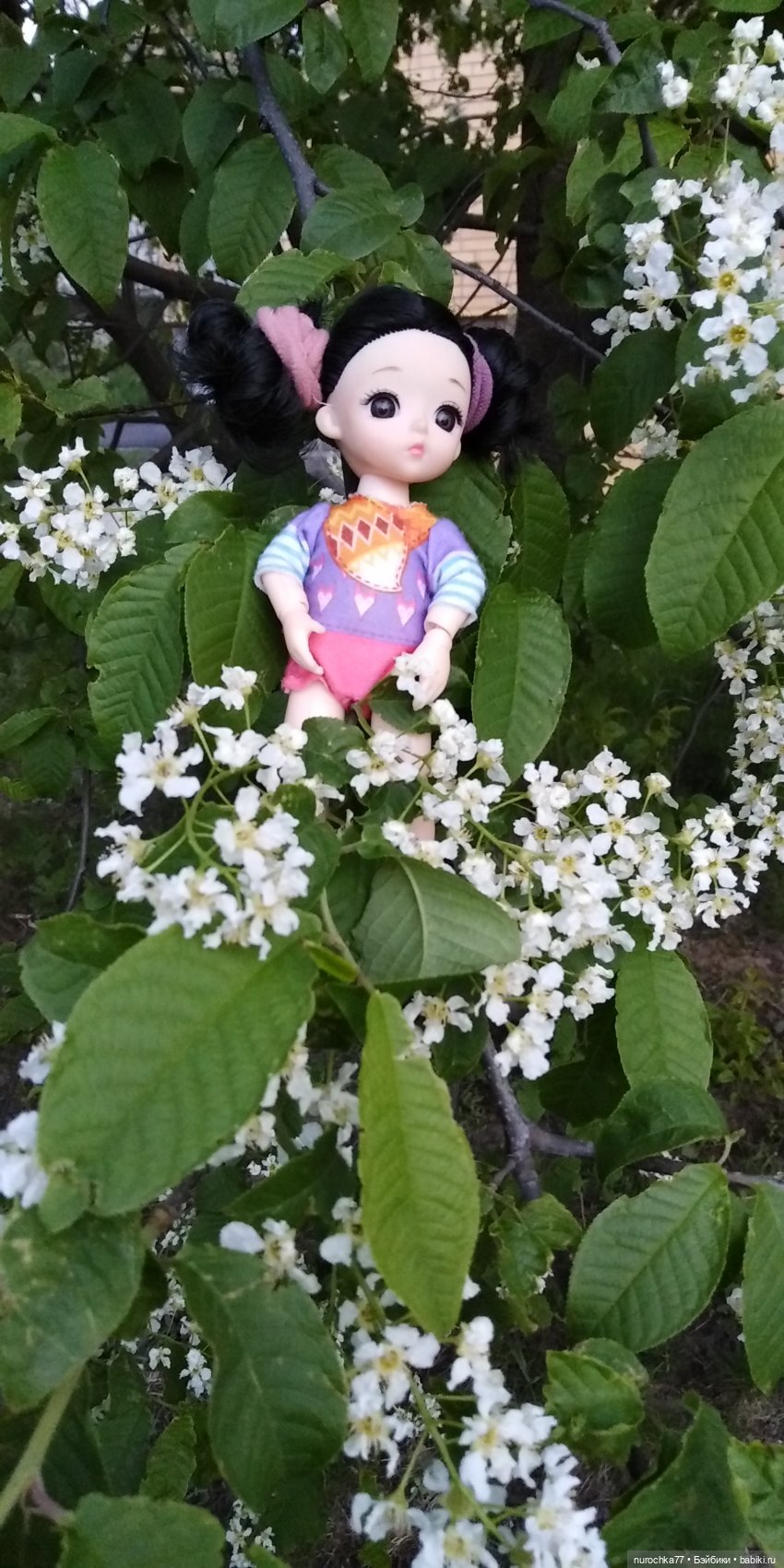 Первая прогулка Баболинки